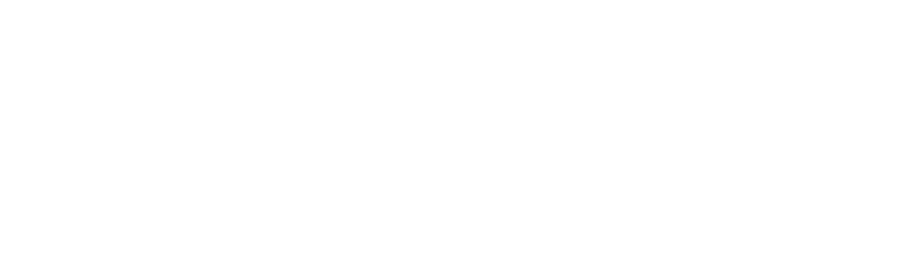 HAN University of Applied Sciences - Sustainable Electrical Energy Centre of Expertise